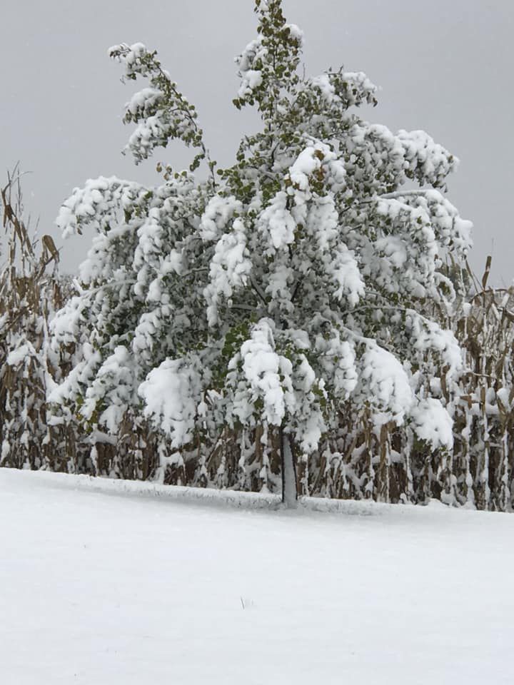 Snow, 10/14